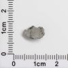 NWA 8687 Lunar Meteorite 0.13g