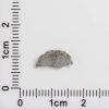 NWA 8687 Lunar Meteorite 0.17g