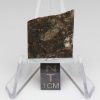 NWA 8743 Meteorite 3.3g