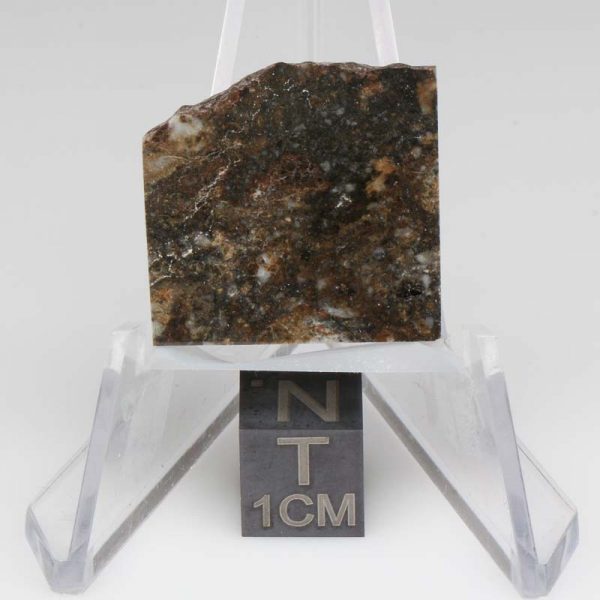 NWA 8743 Meteorite 3.3g