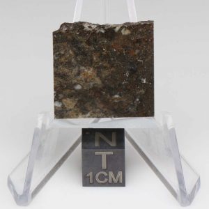 NWA 8743 Meteorite 3.4g