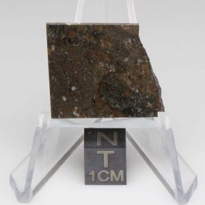 NWA 8743 Meteorite 3.7g