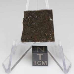 NWA 8743 Meteorite 2.7g