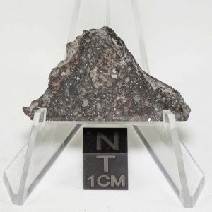 NWA 904 Meteorite 6.8g