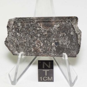 NWA 904 Meteorite 29.2g