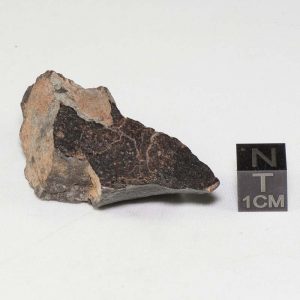 NWA 904 Meteorite 27.7g