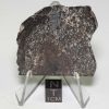 NWA 904 Meteorite 45.6g