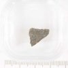 Dar al Gani 978 Meteorite 0.64g