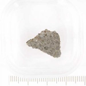 Dar al Gani 978 Meteorite 0.95g