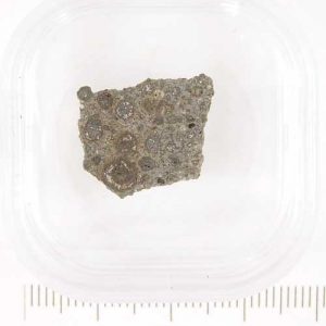 Dar al Gani 978 Meteorite 1.34g