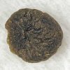 Georgiaite 20.2g Payment #1