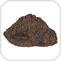 Al Haggounia 001 EL-melt rock