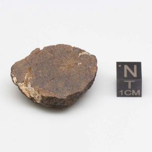 Al Haggounia 001 Meteorite 17.4g