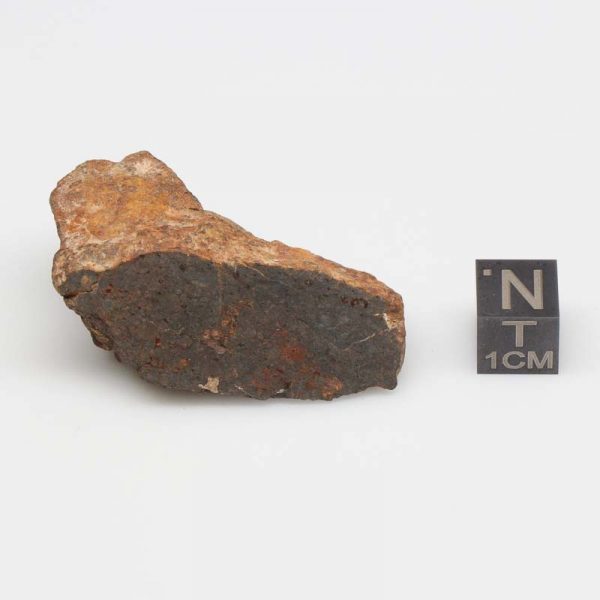 Al Haggounia 001 Meteorite 31.2g