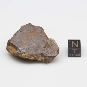 Al Haggounia 001 Meteorite 28.5g