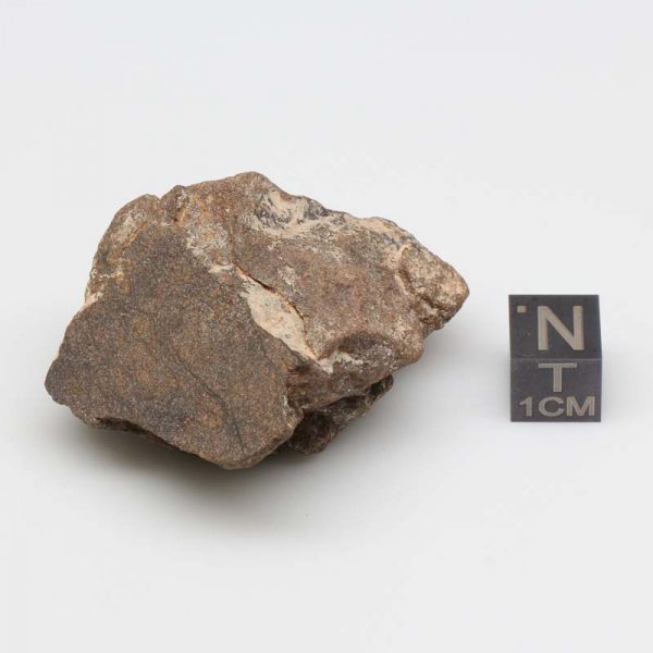 Al Haggounia 001 Meteorite 45.0g