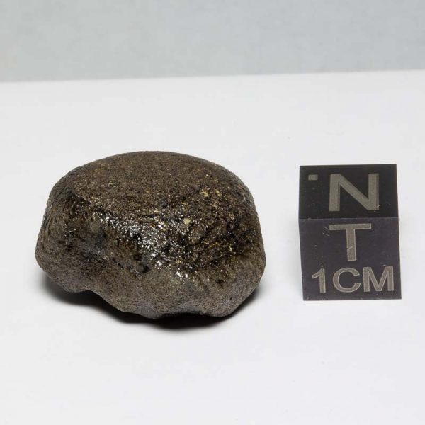 Sariçiçek (Bingöl) Howardite Meteorite 10.0g