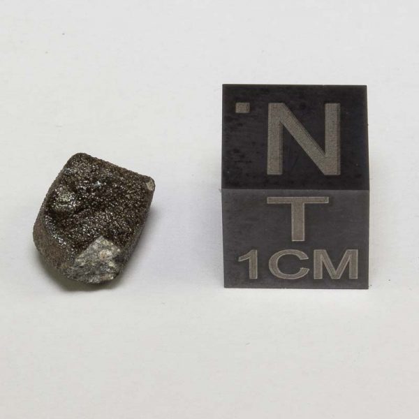 Sariçiçek (Bingöl) Howardite Meteorite 0.7g