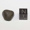 Sariçiçek (Bingöl) Howardite Meteorite 2.9g