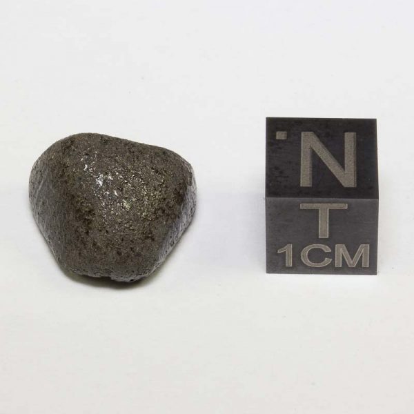 Sariçiçek (Bingöl) Howardite Meteorite 2.9g