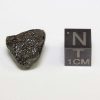 Sariçiçek (Bingöl) Howardite Meteorite 2.9g