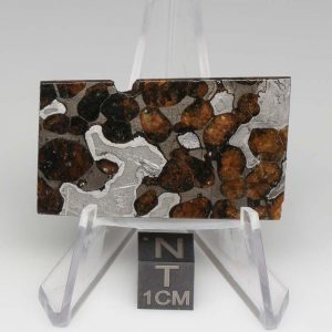Brenham Pallasite Meteorite 14.4g