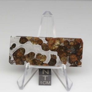Brenham Pallasite Meteorite 15.8g