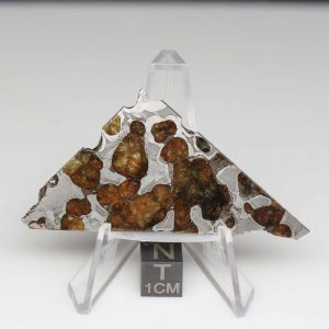 Brenham Pallasite Meteorite 16.0g