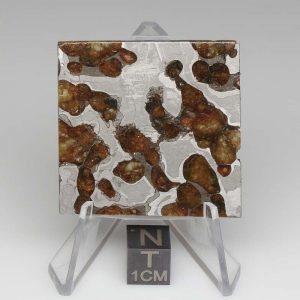 Brenham Pallasite Meteorite 23.7g