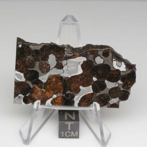 Brenham Pallasite Meteorite 28.7g