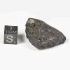 Buzzard Coulee Meteorite 17.1g