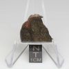 Caldwell Meteorite 3.0g