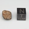 Camel Donga Meteorite 1.2g