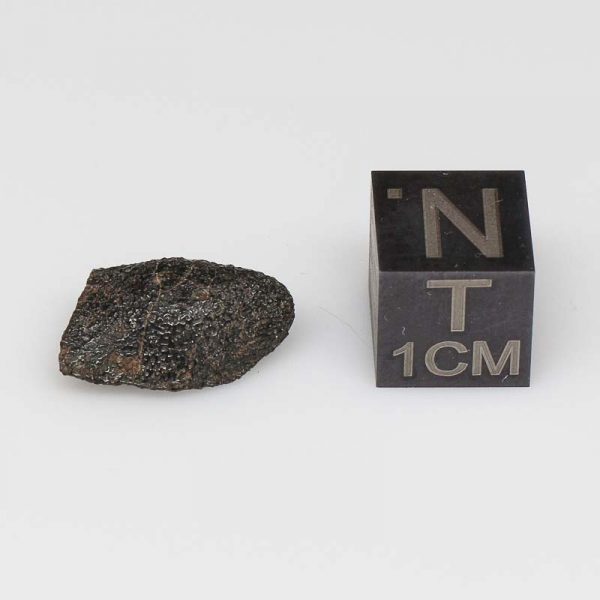 Camel Donga Meteorite 1.1g