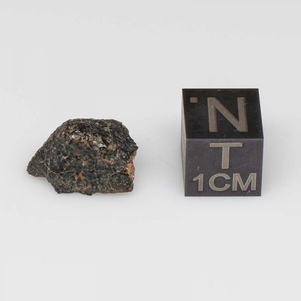 Camel Donga Meteorite 1.2g