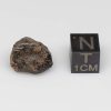 Camel Donga Meteorite 2.8g