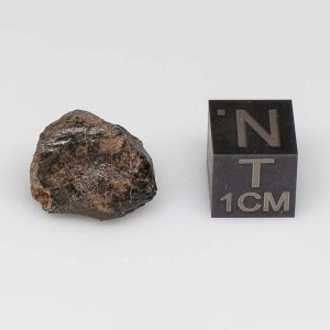 Camel Donga Meteorite 2.8g