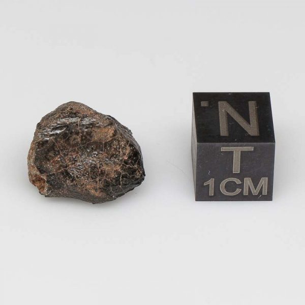 Camel Donga Meteorite 2.8g