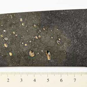 Chico Meteorite 48.4g