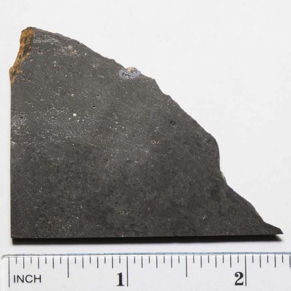 Chico Meteorite 25.3g