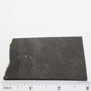 Chico Meteorite 39.7g