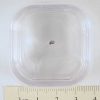 Claxton Meteorite Fragment Small