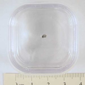 Claxton Meteorite Fragment Small