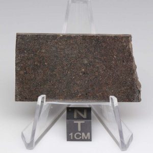 Dhofar 1289 Meteorite 15.5g