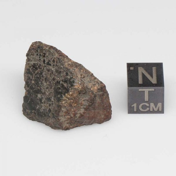 Dar al Gani (DaG) 319 Meteorite Ureilite-pmict 3