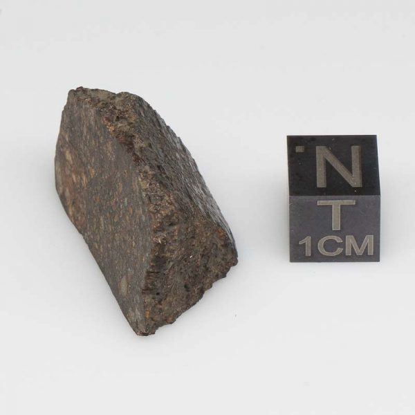 Dar al Gani (DaG) 319 Meteorite Ureilite-pmict 7