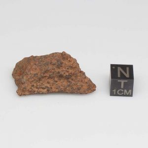 Dalgety Downs Meteorite 13.1g