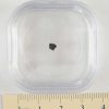 Dhofar 700 Meteorite Small Fragments