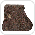 Dhofar 1289 L4 Meteorite