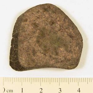 Dhofar XX1 Meteorite 17.7g
